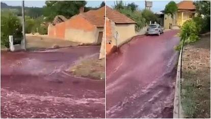 People were surprised to see the river of red wine on the roads Red Wine : ਸੜਕਾਂ 'ਤੇ ਰੈੱਡ ਵਾਈਨ ਦੀ ਵਹੀ ਨਦੀ, ਦੇਖਕੇ ਲੋਕ ਹੋਏ ਹੈਰਾਨ