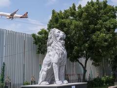 National Animal: આ એક જ પ્રાણીને દુનિયાના 15 દેશો ગણે છે રાષ્ટ્રીય પ્રાણી, ભારત પણ હતુ લિસ્ટમાં સામેલ