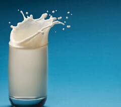 Health Tips : महिनाभर दूध सोडण्याची योजना आहे? तर जाणून घ्या त्याचा शरीरावर काय परिणाम होतो