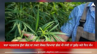 Cannabis Hangover: ਬੜਾ ਖਤਰਨਾਕ ਹੁੰਦਾ ਭੰਗ ਦਾ ਨਸ਼ਾ! ਜੇਕਰ ਜ਼ਿਆਦਾ ਭੰਗ ਪੀ ਲਈ ਤਾਂ ਤੁਰੰਤ ਕਰੋ ਇਹ ਕੰਮ