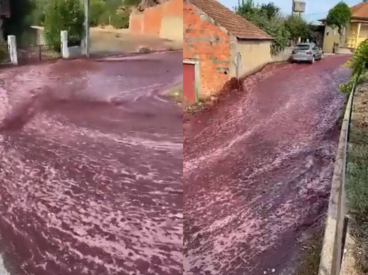 2.2 million litres of red wine flows through Portugal town know what happened Viral Video: ఈ వీడియో చూస్తే మందుబాబుల గుండెలు ధడేల్, రోడ్లపై పారిన 2 మిలియన్ లీటర్ల వైన్