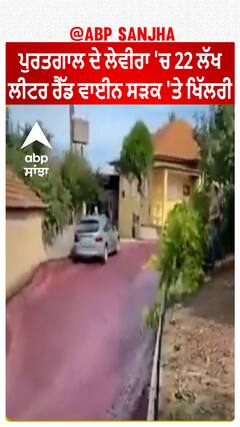 Portugal ਦੇ Levira 'ਚ 22 ਲੱਖ ਲੀਟਰ red wine ਸੜਕ 'ਤੇ ਖਿੱਲਰੀ