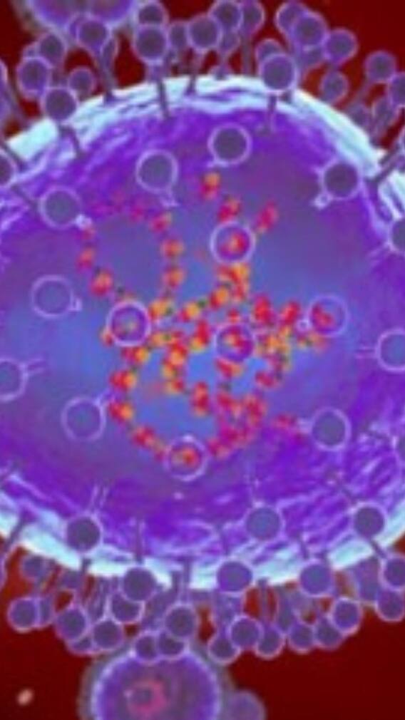 কেরলে Nipah Virus-এর চোখরাঙানি, কী ভাবে মোকাবিলা?