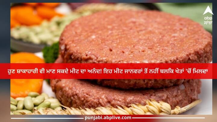 Plant Based Meat: Now even vegetarians can enjoy meat! This meat is not obtained from animals but from farms Plant Based Meat: ਹੁਣ ਸ਼ਾਕਾਹਾਰੀ ਵੀ ਮਾਣ ਸਕਦੇ ਮੀਟ ਦਾ ਅਨੰਦ! ਇਹ ਮੀਟ ਜਾਨਵਰਾਂ ਤੋਂ ਨਹੀਂ ਬਲਕਿ ਖੇਤਾਂ 'ਚੋਂ ਮਿਲਦਾ 