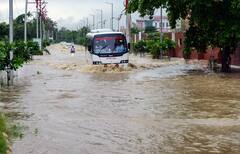 Lucknow Rain: लखनौमध्ये पावसाचा हैदोस; वीज आणि झाडं पडून रस्तेही खचले, पाहा भीषण फोटो
