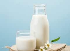 Health Tips : महिनाभर दूध सोडण्याची योजना आहे? तर जाणून घ्या त्याचा शरीरावर काय परिणाम होतो