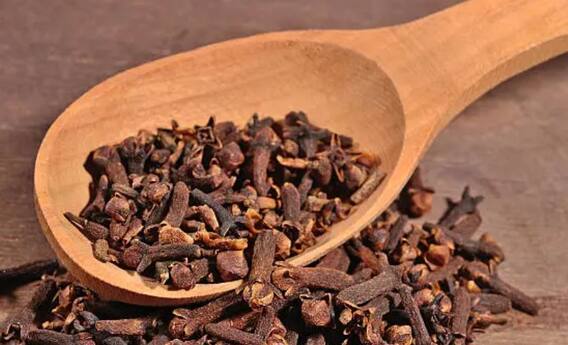 Benefits of Clove: From pain relief to skin rejuvenation, there is no dearth of properties in clove. Benefits of Clove: From pain relief to skin rejuvenation, there is no dearth of properties in clove.