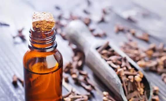 Benefits of Clove: From pain relief to skin rejuvenation, there is no dearth of properties in clove. Benefits of Clove: From pain relief to skin rejuvenation, there is no dearth of properties in clove.