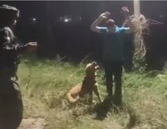 Rajouri Encounter: ਭਾਰਤੀ ਫੌਜ ਨੇ ਤਿਰੰਗੇ ਵਿੱਚ ਲਪੇਟ ਕੇ ਕੁੱਤੇ ਕੈਂਟ ਨੂੰ ਕੀਤਾ ਸਨਮਾਨਿਤ, ਅੱਤਵਾਦੀਆਂ ਨਾਲ ਮੁਕਾਬਲੇ ਦੌਰਾਨ ਹੋਈ ਮੌਤ