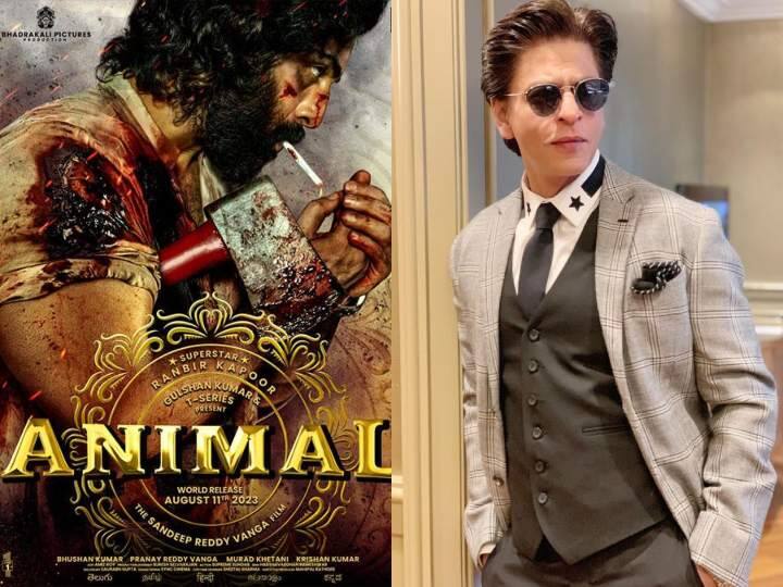 Ranbir Kapoor starrer Animal release date postpone 1st December due to Shahrukh Khan Jawan Gadar 2 OMG 2 Animal Release Date: क्यों पोस्टपोन हुई Ranbir Kapoor की फिल्म Animal, शाहरुख खान बने वजह?