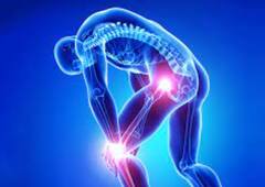 Joint Pain: ਨਹੀਂ ਸਤਾਏਗਾ ਜੋੜਾਂ ਦਾ ਦਰਦ, ਦਵਾਈ ਨਹੀਂ ਸਗੋਂ 5 ਸੂਪਰ ਫੂਡਸ ਕਰਨਗੇ ਕਮਾਲ