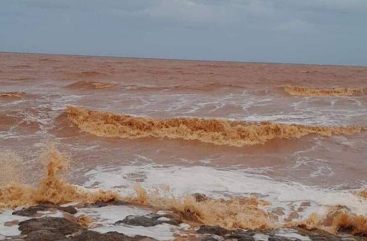 Libya Floods update Libya Daniel Storm more than 5300 died 10000 people missing video viral latest updates Libya Flood: लीबिया में लाशों से भर गए अस्पताल, बाढ़ ने मचाई तबाही,  5300 से ज्यादा मौत,10000 लोग लापता