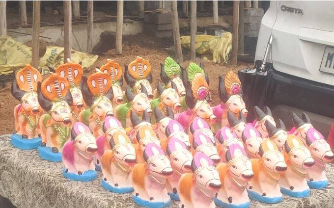 विदर्भात बैलपोळ्याच्या सणाला तान्हा पोळा किंवा नंदी पोळा म्हणतात. विदर्भात मोठ्या उत्साहात हा  सण साजरा केला जातो.