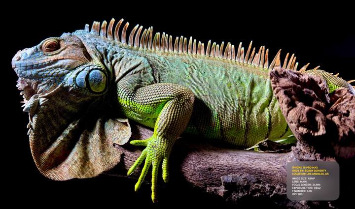 दूरवरील फोटो देखील तुम्ही अगदी स्पष्ट काढू शकता. अगदी क्लियर फोटोसाठी हे दोन्ही फोन खास आहेत.