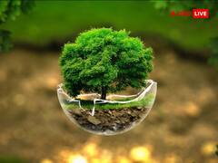 Pitru Paksha 2023: पितृपक्ष में लगाएं ये पेड़-पौधे, पितरों की अतृप्त आत्मा को मिलेगी शांति