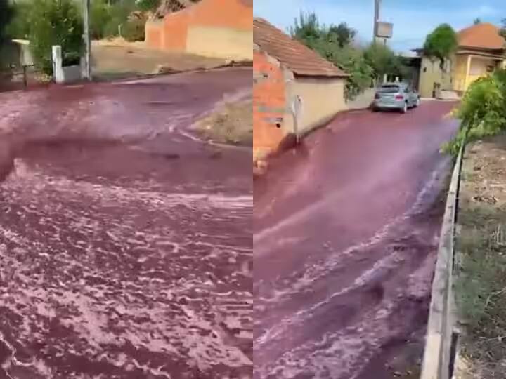 Portugal flooded with 22 lakh litres of red wine after tanks explode watch viral video Viral Video: ਅਚਾਨਕ ਸੜਕ 'ਤੇ ਆਇਆ 'ਲਾਲ ਪਾਣੀ ਦਾ ਹੜ੍ਹ', ਵਹਿਣ ਲੱਗੀ 'ਸ਼ਰਾਬ ਦੀ ਨਦੀ', VIDEO ਦੇਖ ਕੇ ਦੰਗ ਰਹਿ ਗਏ ਲੋਕ