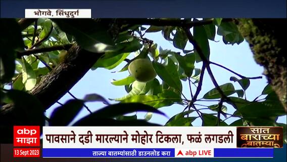 Saat Barachya Batmya: बाहेर पाऊस, घरात हापूस ते अमेरिकन सफरचंदाच्या आयात करात सवलत