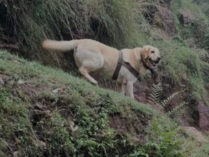भारतीय सेना ने तिरंगे में लपेटकर दिया कुत्ते केंट को सम्मान, आतंकियों से मुठभेड़ में हुई थी मौत