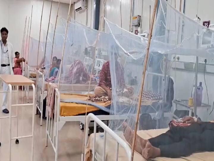 Muzaffarpur News Many dengue and chikungunya patients admitted to hospital in Bihar ann Bihar News: मुजफ्फरपुर में बढ़ा डेंगू और चिकनगुनिया का प्रकोप, तीन दर्जन से ज्यादा मरीजों की हुई पुष्टि