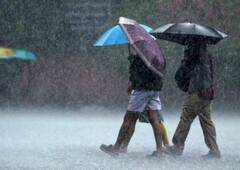 Rain : आज विदर्भात पावसाचा यलो अलर्ट