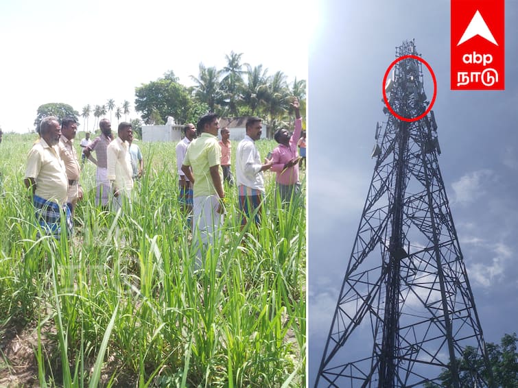 Villupuram A youth attempted suicide by protesting the bus shelter in front of the temple கோவில் வாசல் முன்பாக பேருந்து நிழற்குடையா? செல்போன் டவரில் ஏறி இளைஞர் தற்கொலை முயற்சி