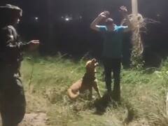 Rajouri Encounter: भारतीय सेना ने तिरंगे में लपेटकर दिया कुत्ते केंट को सम्मान, आतंकियों से मुठभेड़ में हुई थी मौत