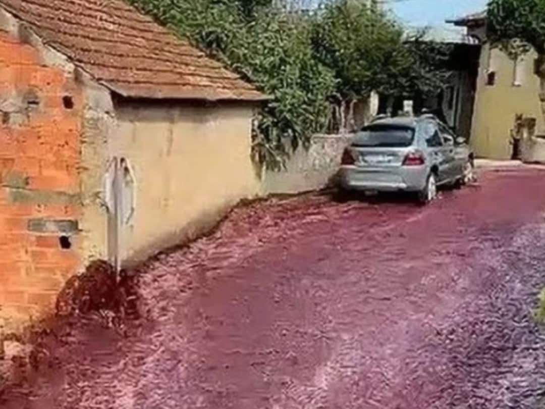 Viral Video : अचानक रस्त्यावर 'लाल पाण्याचा पूर', पण ही तर 'रेड वाईन नदी!' दृश्य पाहून लोकांना आश्चर्याचा धक्का Viral Video marathi news portugal flooded with red wine after tanks explode Viral Video : अचानक रस्त्यावर 'लाल पाण्याचा पूर', पण ही तर 'रेड वाईन नदी!' दृश्य पाहून लोकांना आश्चर्याचा धक्का