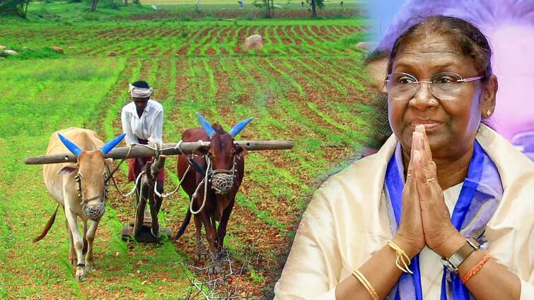 President Draupadi Murmu says Indian laws are great model for farmers  Law: ਕਿਸਾਨੀ ਨੂੰ ਲੈ ਕੇ ਰਾਸ਼ਟਰਪਤੀ ਮੁਰਮੂ ਦਾ ਵੱਡਾ ਬਿਆਨ, ਕਿਹਾ ਕਿਸਾਨਾਂ ਲਈ ਭਾਰਤੀ ਕਾਨੂੰਨ ਇੱਕ ਮਿਸਾਲ, ਸਾਰੀ ਦੁਨੀਆਂ ਅਪਣਾ ਸਕਦੀ ਸਾਡਾ ਮਾਡਲ