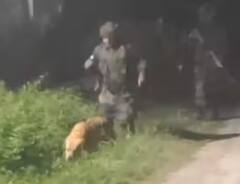 Rajouri Encounter: ਭਾਰਤੀ ਫੌਜ ਨੇ ਤਿਰੰਗੇ ਵਿੱਚ ਲਪੇਟ ਕੇ ਕੁੱਤੇ ਕੈਂਟ ਨੂੰ ਕੀਤਾ ਸਨਮਾਨਿਤ, ਅੱਤਵਾਦੀਆਂ ਨਾਲ ਮੁਕਾਬਲੇ ਦੌਰਾਨ ਹੋਈ ਮੌਤ