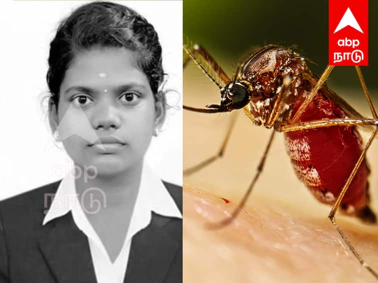 College student dies of dengue fever in Puducherry புதுச்சேரியில் டெங்கு காய்ச்சலுக்கு கல்லூரி மாணவி உயிரிழப்பு