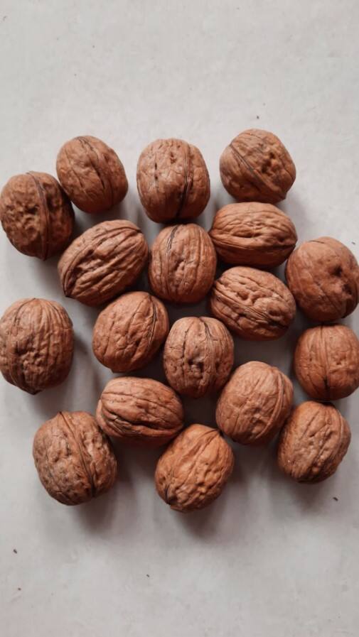 ਇਨ੍ਹਾਂ 4 ਲੋਕਾਂ ਨੂੰ ਭੁੱਲ ਕੇ ਵੀ ਨਹੀਂ ਖਾਣਾ ਚਾਹੀਦਾ ਅਖਰੋਟ, ਹੋ ਸਕਦੀ ਵੱਡੀ ਸਮੱਸਿਆ