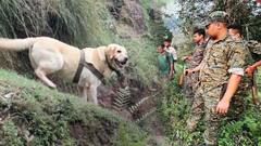 Indian Army Dog Kent Died : ఉగ్రవాదుల కాల్పుల్లో వీరోచితంగా పోరాడిన కెంట్ | ABP Desam