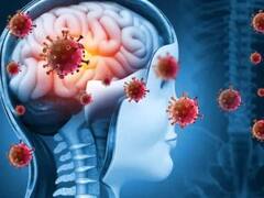 Nipah Virus: નિપાહ વાયરસના લક્ષણો શું છે, તે પ્રાણીઓમાંથી મનુષ્યમાં કેવી રીતે ફેલાય છે?