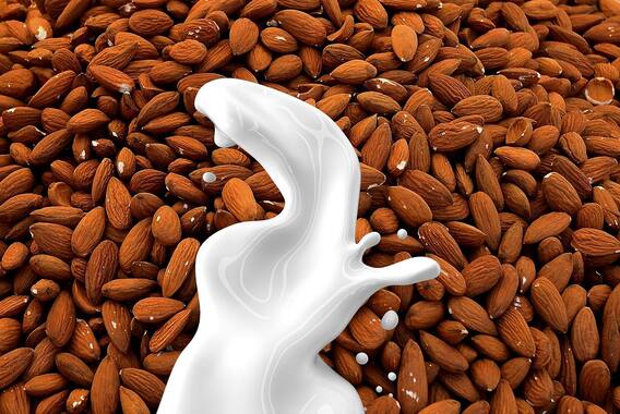 Benefits of Almonds: Almonds help in eliminating the problem of dandruff, there are many other benefits too.