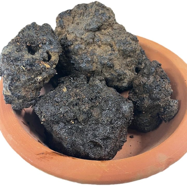 Shilajit Benefits: ਪਹਾੜਾਂ 'ਚੋਂ ਨਿਕਲੀ ਸ਼ਿਲਾਜੀਤ ਸਿਰਫ ਮਰਦਾਨਾ ਤਾਕਤ ਹੀ ਨਹੀਂ ਸਗੋਂ ਇਹਨਾਂ ਬਿਮਾਰੀਆਂ ਨੂੰ ਵੀ ਕਰਦੀ ਦੂਰ