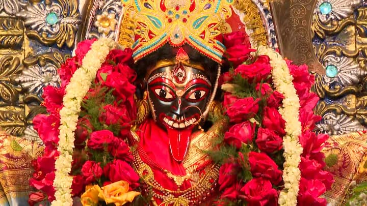 কৌশিকী অমাবস্যা উপলক্ষে করুণাময়ী কালী বাড়িতেও হয়েছে বিশেষ পুজোর আয়োজন।