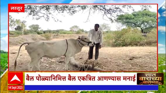Saat Barachya Batmya 712 : लम्पी आजाराचा बैल पोळ्यावर परिणाम, बैल फिरवण्यासाठी शासकीय निर्बंध Latur
