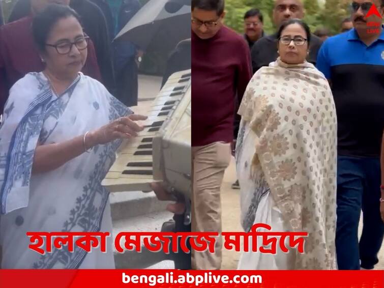 West Bengal CM Mamata Banerjee roams around Spain capital Madrid plays music with local musican Mamata Banerjee: শাড়ি-হাওয়াই চটিতে মাদ্রিদে জগিং মমতার, শিল্পীর থেকে অ্যাকোর্ডিয়ন চেয়ে বাজিয়েও দেখালেন