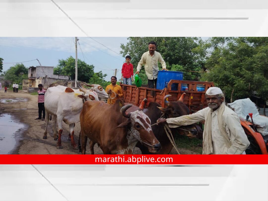Bail Pola 2023 Selling water to wash bull Aurangabad Maharashtra news काय सांगता! सर्जा राजांना धुण्यासाठी विकत पाणी, बैलपोळा सणावर दुष्काळाचे सावट
