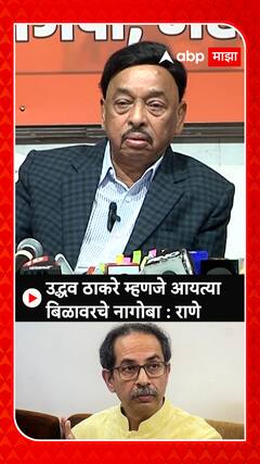 Narayan Rane Maratha : उद्धव ठाकरे म्हणजे आयत्या बिळावरचे नागोबा : राणे