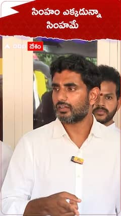 సింహం ఎక్కడున్నా..సింహమే: నారా లోకేశ్