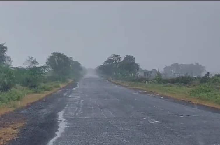 Rainy weather prevailed in many parts of the gujarat following the forecast of the Meteorological Department Gujarat Rain: હવામાન વિભાગની આગાહીને પગલે રાજ્યના અનેક વિસ્તારોમાં છવાયો વરસાદી માહોલ, પાકને મળ્યું જીવનદાન
