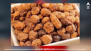 Benefits Of Tiger Nuts : ਸੁੱਕੇ ਮੇਵਿਆਂ ਨਾਲੋਂ ਜ਼ਿਆਦਾ ਫਾਇਦੇਮੰਦ ਨੇ ਇਹ ਟਾਈਗਰ ਨਟਸ, ਜਾਣੋ ਦੋਵਾਂ ਨੂੰ ਇਕੱਠੇ ਖਾ ਸਕਦੇ ਹਾਂ ਜਾਂ ਨਹੀਂ!
