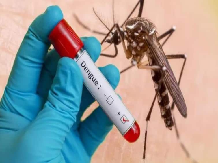 Dengue Fever afftected in tamilnadu in some districts tiruvanamalai cuddaore districts Dengue Fever: மக்களே அலர்ட்! தமிழ்நாட்டில் வேகமாக பரவும் டெங்கு காய்ச்சல்.. அறிகுறிகள்  என்ன? தடுப்பது எப்படி?