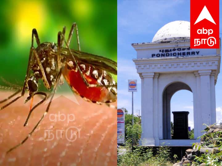 Dengue fever 44 people in Puducherry due to dengue fever Health department has taken action TNN புதுச்சேரியில் அதிகரிக்கும் டெங்கு காய்ச்சல்... 44 பேர் டெங்கு காய்ச்சலால் பதிப்பு... அதிரடி நடவடிக்கையில் இறங்கிய சுகாதாரத்துறை