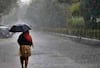 Maharashtra Rain : राज्यात आज जोरदार पावसाचा इशारा, 'या' भागात पावसाचा 'यलो अलर्ट'
