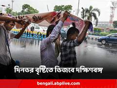 বঙ্গোপসাগরে ঘূর্ণাবর্ত পরিণত নিম্নচাপে, দিনভর বৃষ্টিতে ভিজবে কলকাতা-সহ দক্ষিণবঙ্গ
