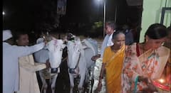 भंडाऱ्यात पार पडला सर्जा राजाच्या कृतज्ञतेचा 