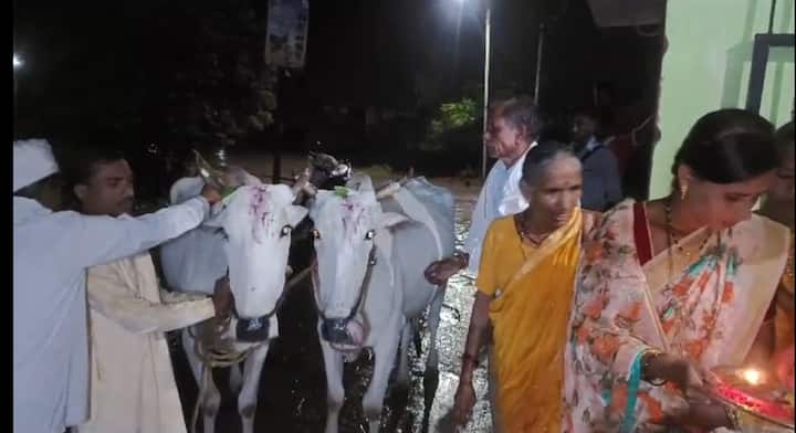 आपल्या जिवाभावाच्या सोबत्याची कृतज्ञता म्हणून बैल पोळ्याचा सण साजरा केला जातो.