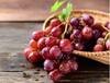 Benefits Of Red Grapes : काळ्या आणि हिरव्या द्राक्षांपेक्षा लाल द्राक्षे जास्त फायदेशीर, जाणून घ्या त्याचे चमत्कारी फायदे